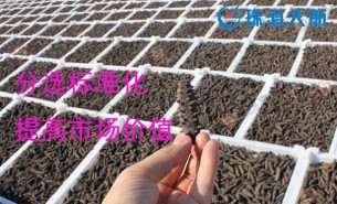 大家都用重量分揀機(jī)分選海參了！您還在用人工分選嗎？