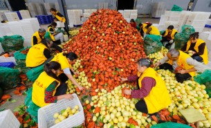 自動化分揀稱重設(shè)備：助力生鮮、凍貨及食品加工行業(yè)突破瓶頸